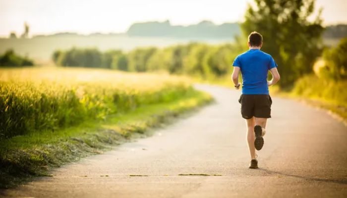 Aplicativos de Treino e Dieta: As Melhores Ferramentas para Alcançar Seus Objetivos